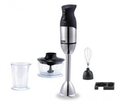 hand blender SS